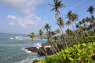 Palm Beach Palm Beach